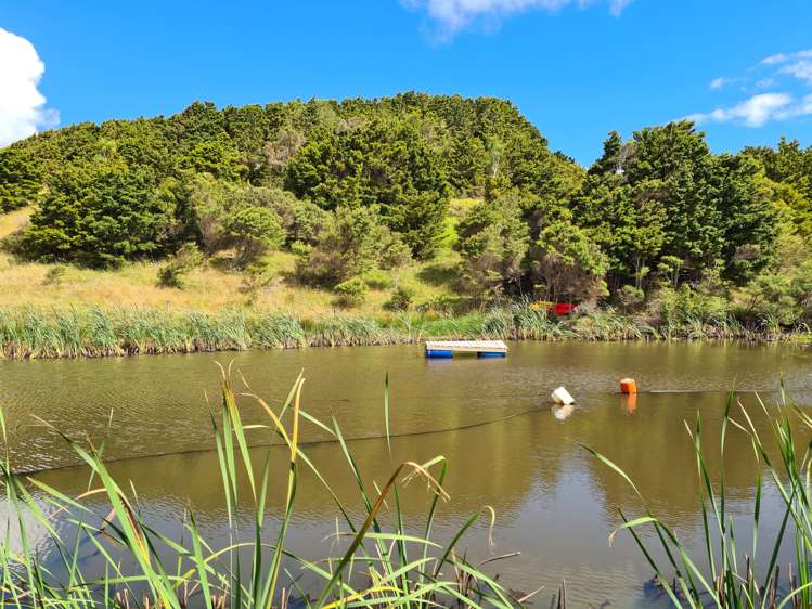 304 Arapaoa Road Tinopai_6