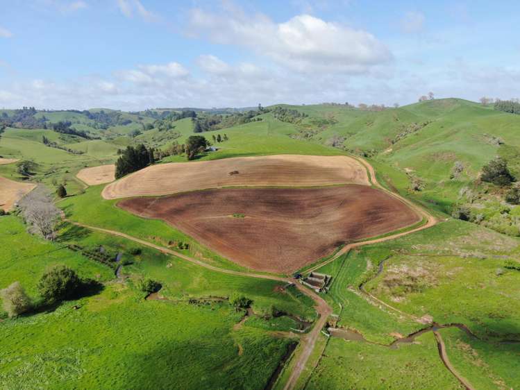 48 Barber Road Otewa_14