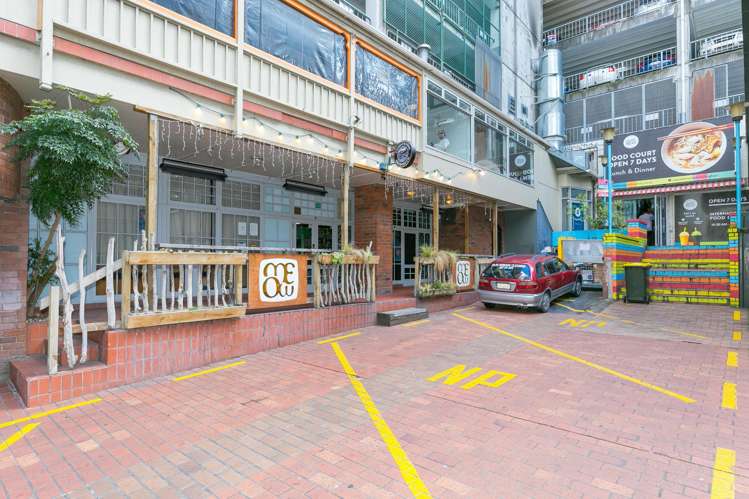 19/3 Edward Street Te Aro_13