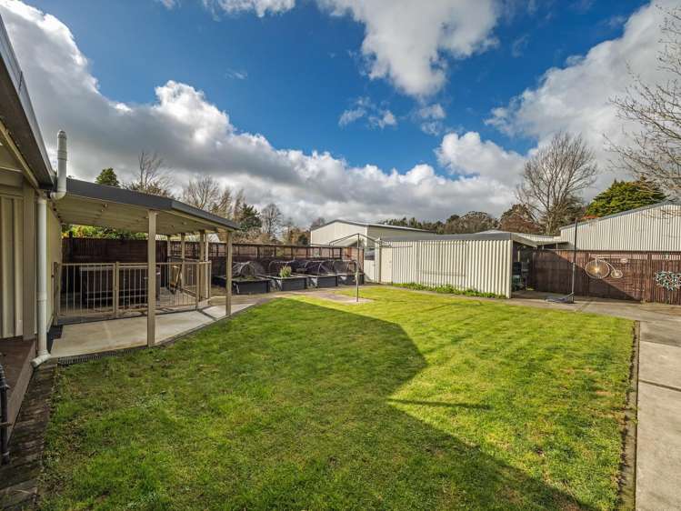 81265 State Highway 2 Pahiatua_18