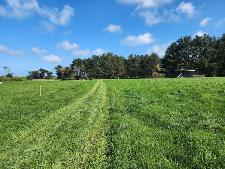 Ahipaipa Road Okaiawa_8