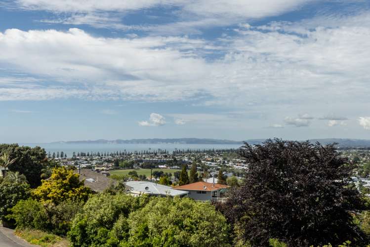 45 Guys Hill Road Hospital Hill_12