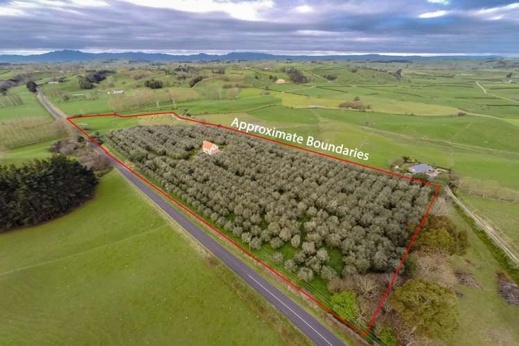 281 Bell Road Morrinsville_20