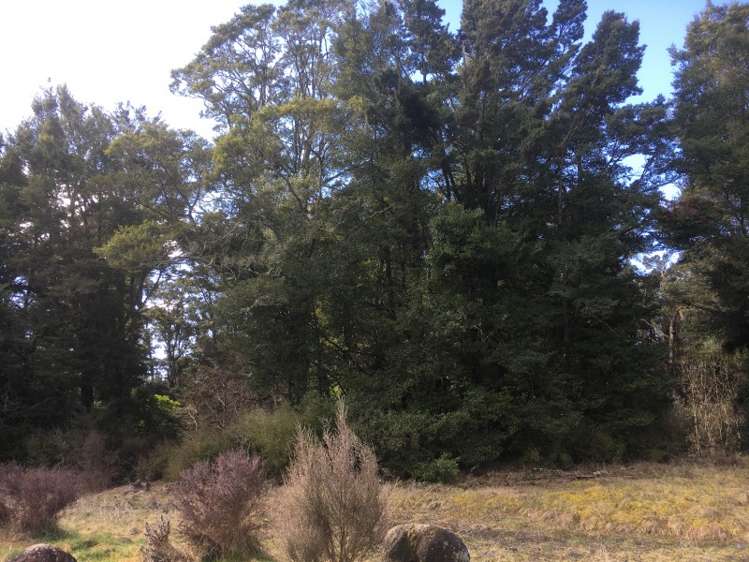 100 Burns Street Ohakune_7