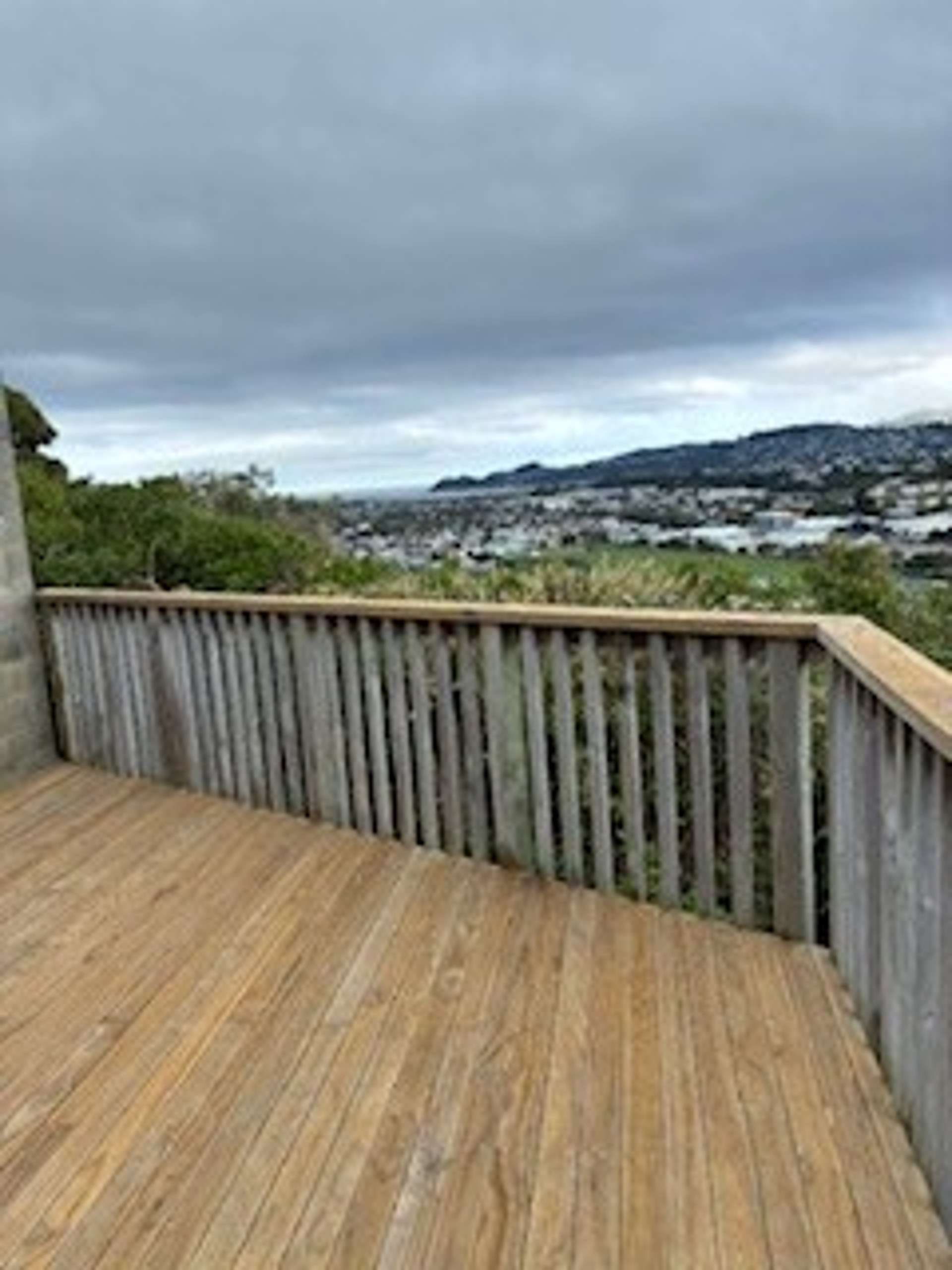 93 Nevay Road Miramar_0