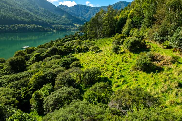 Four Fathom Bay Kenepuru Sound_4