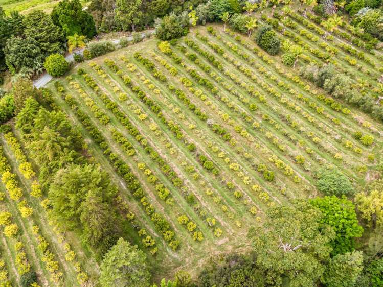 66a Rataroa Road Kaeo_27