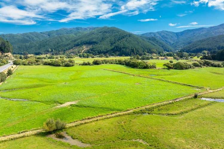 State Highway 1 Koromiko_24