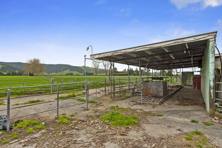 1/187 Parklands Road Rotoorangi_8