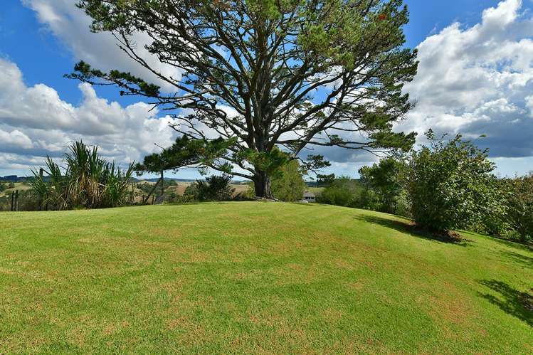 130 Shanks Road Helensville_20