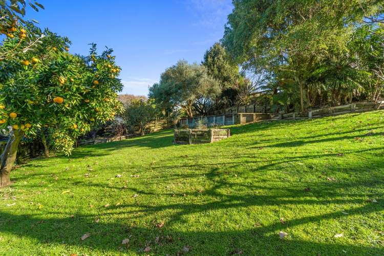 451 Wallace Terrace Te Awamutu_16