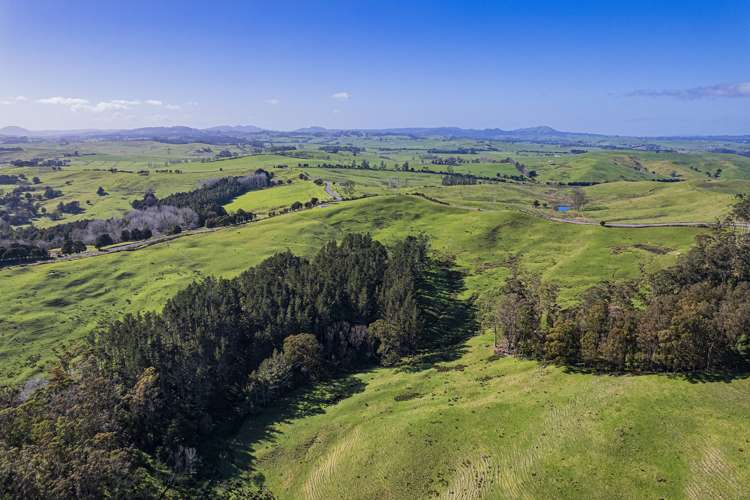 Cnr Milne and Aponga Stream Road Purua_15