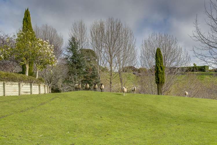 125 Margaret Avenue Havelock North_24