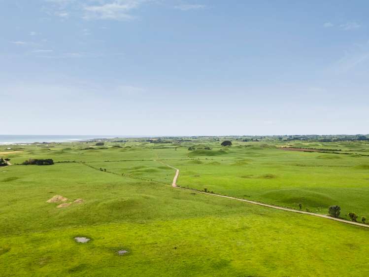 266 Pungarehu Road Pungarehu_21