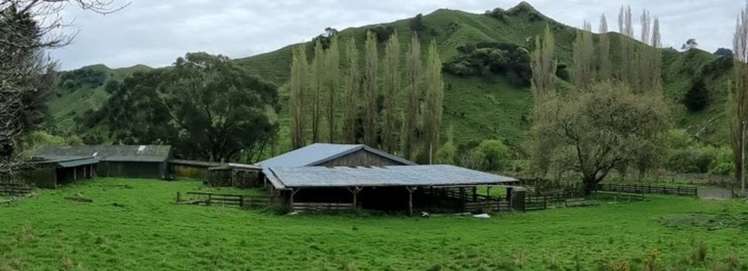 568 Morea Road Hawera_0