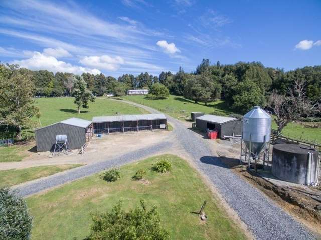 101 Akatarere Road Pukeatua_1