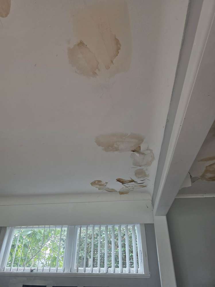 101 Church Street Otahuhu_6