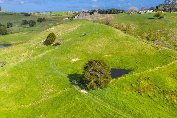118 Paparoa Station Road_5