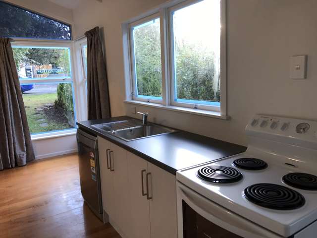 62 Parker Avenue New Lynn_1