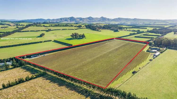 292 Mount Brown Road Amberley_10