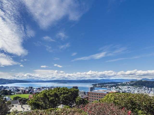 26 Central Terrace Kelburn_1