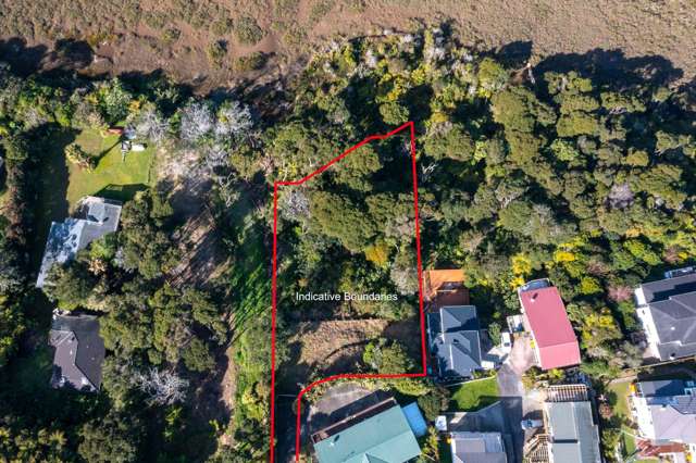143C Colwill Road Massey_4