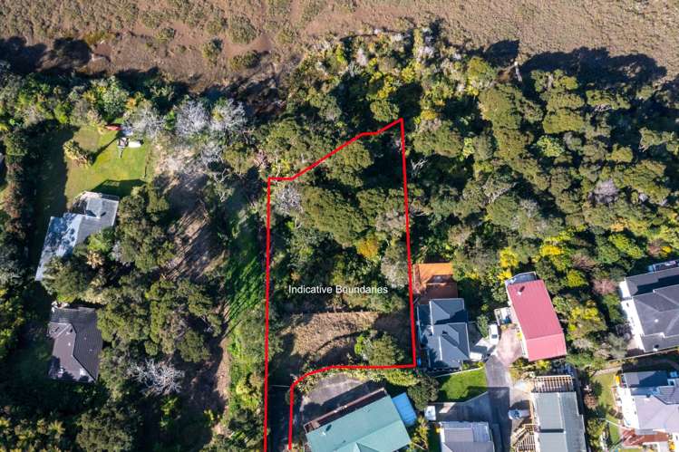 143C Colwill Road Massey_4