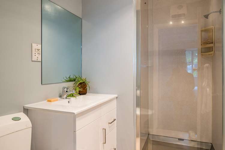 22 Helvetia Grove Naenae_12