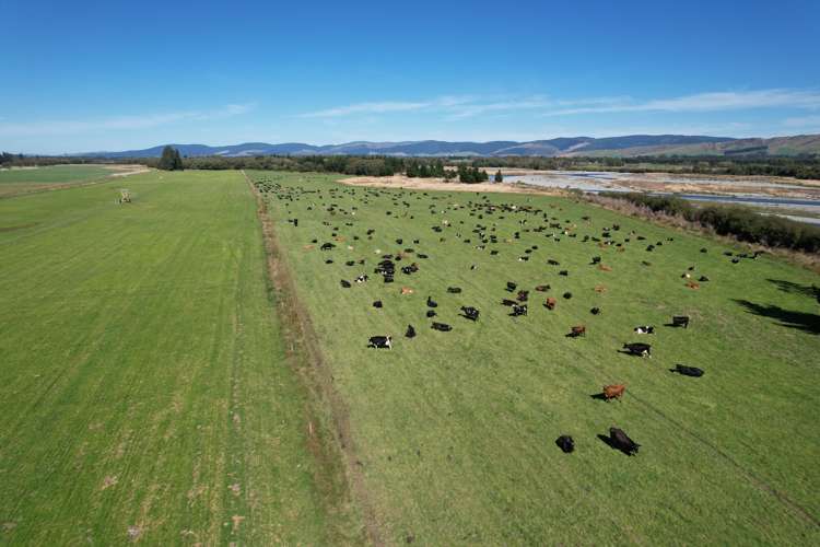 1147 Lumsden Dipton Highway Dipton_2