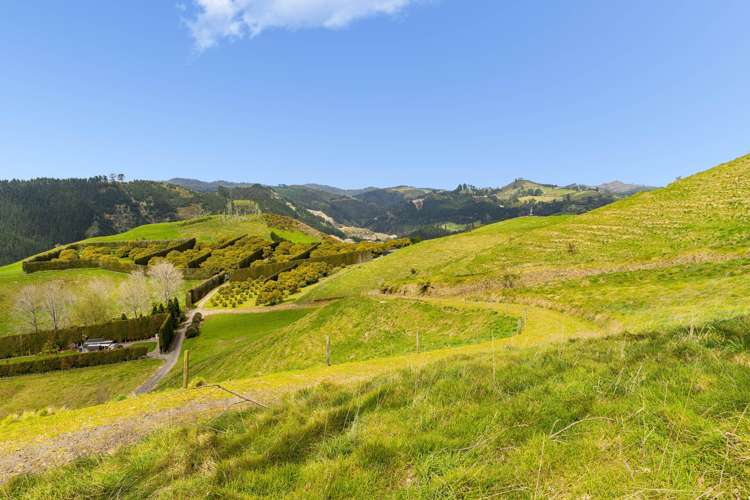 220F Waikite Road Welcome Bay_7