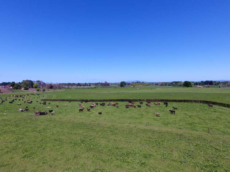 1027 Tauranga Road Te Poi_10