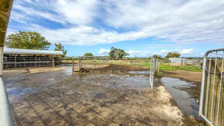 7201 State Highway 26 Paeroa_13