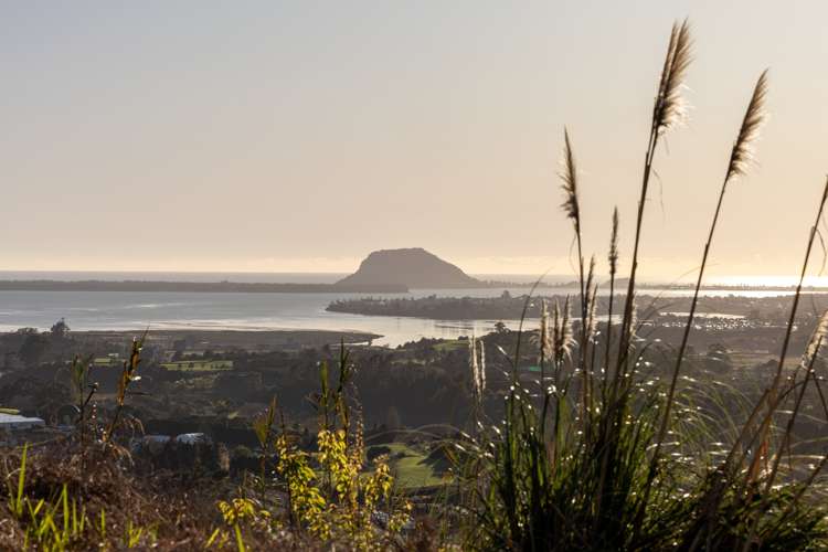 213e Minden Road Wairoa_7