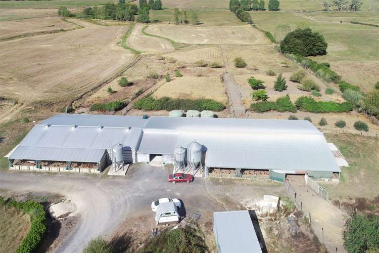 108 Maxwell Road Maramarua_2