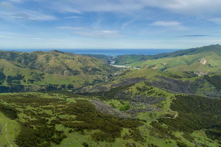 1505 Peggioh Road Ward_23