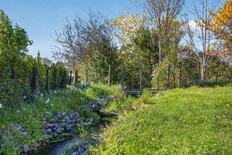 5 Oates Place Greytown_6