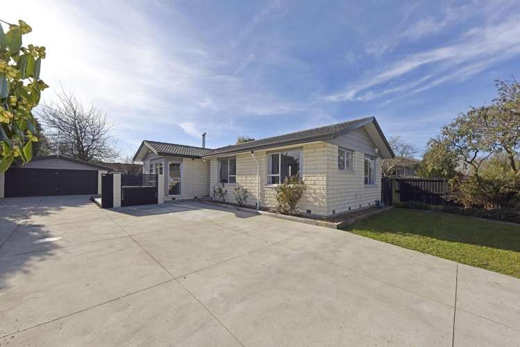 55 Solomon Avenue Redwood_1