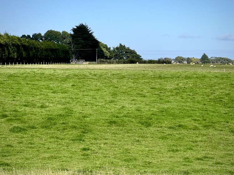 154 Moore Road Lorneville_6