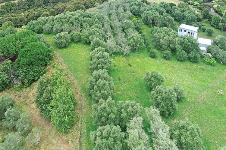 3699 Highway 22 Whangape_19