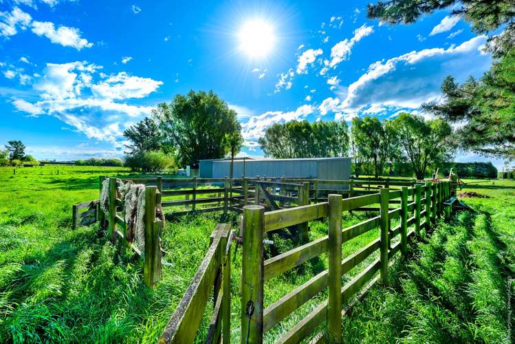 2/184 Wolfes Road Springston_27