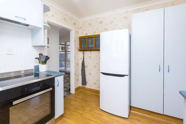 4 Dawn Grove Brown Owl_6