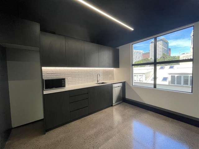 2 Emily Place Auckland Cbd_2