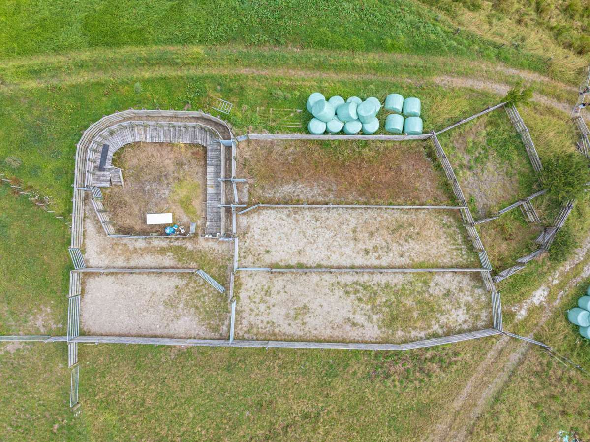 660 Kaipara Coast Highway_3