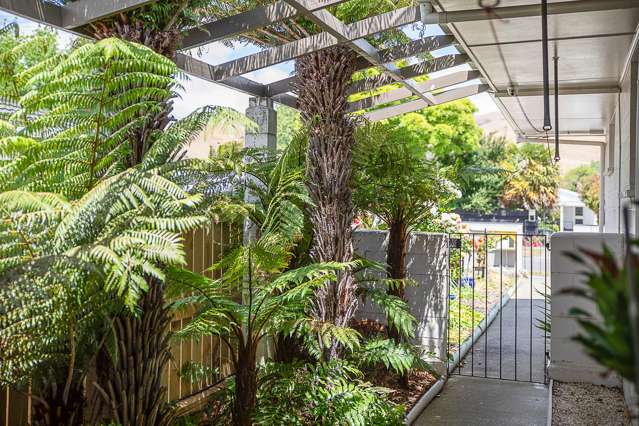 83 Wither Road Witherlea_4