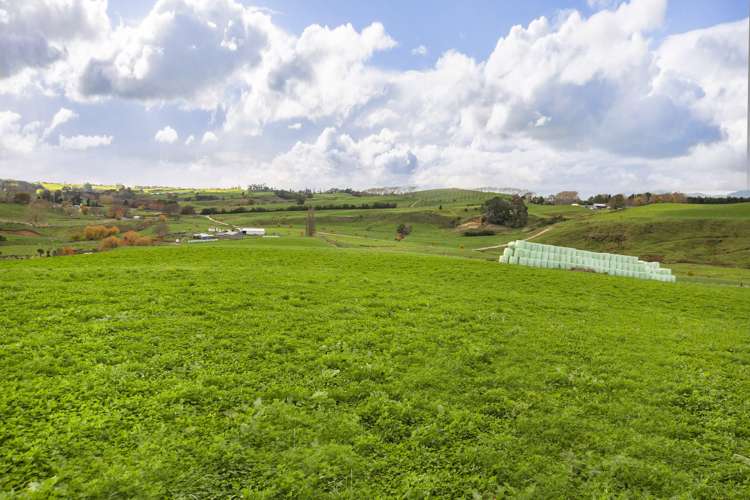 Piakonui Road Richmond Downs_8