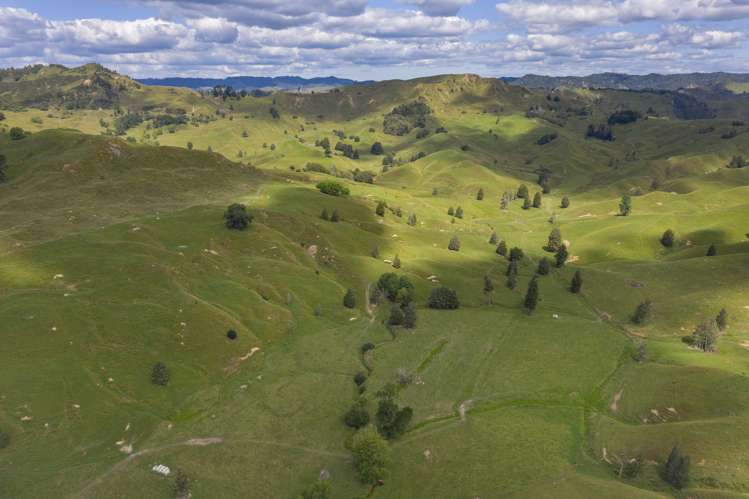 510 Barclay Road Aria_24