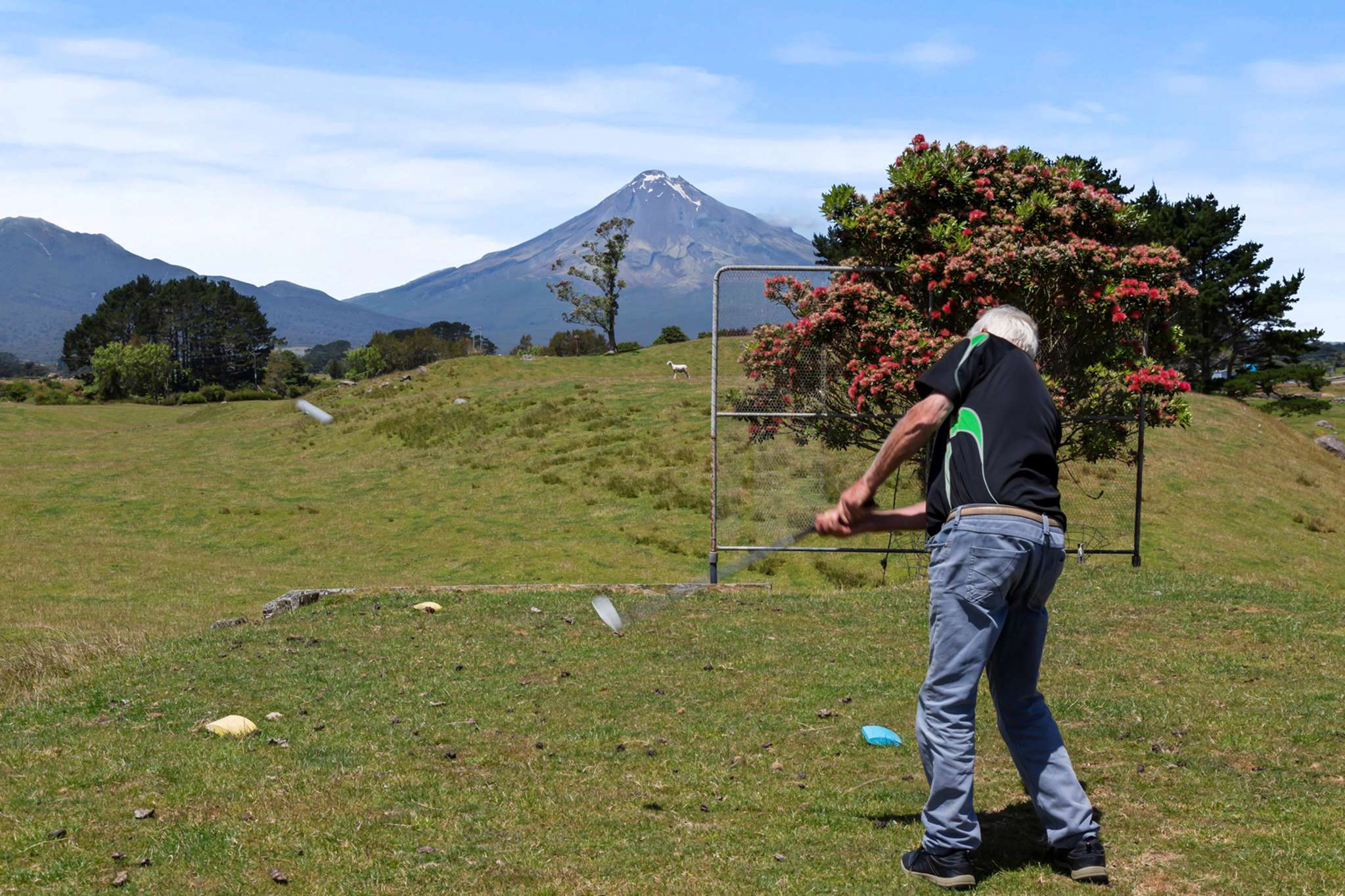 Golf course where sheep graze the fairways teed-up for sale