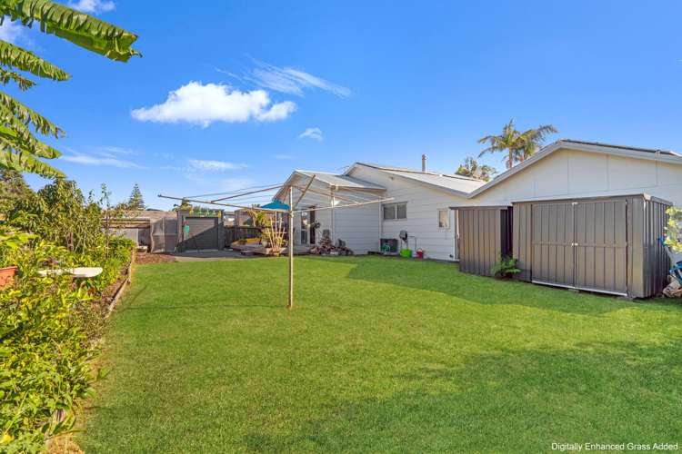 243 One Tree Point Road One Tree Point_31