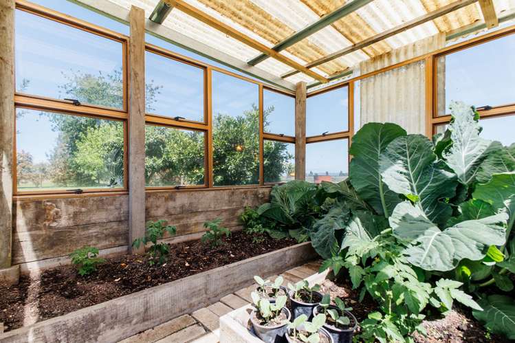 408a Awakeri Road Edgecumbe_40
