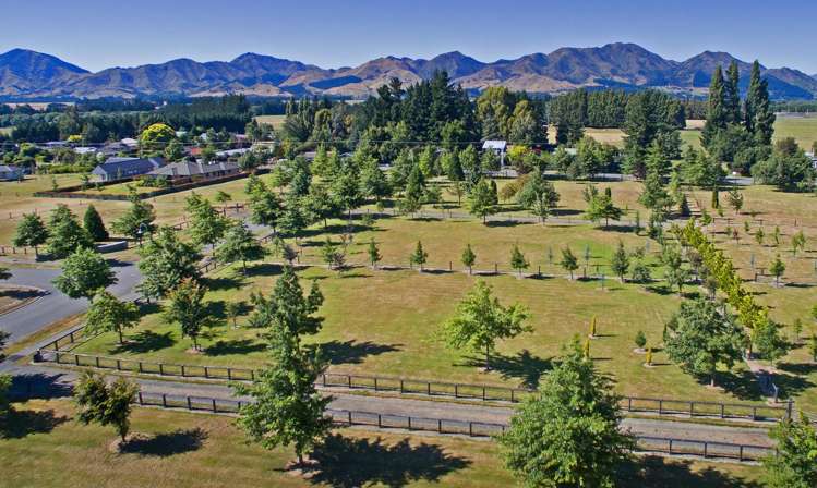 Lot 41 Lochiel Drive Hanmer Springs_6